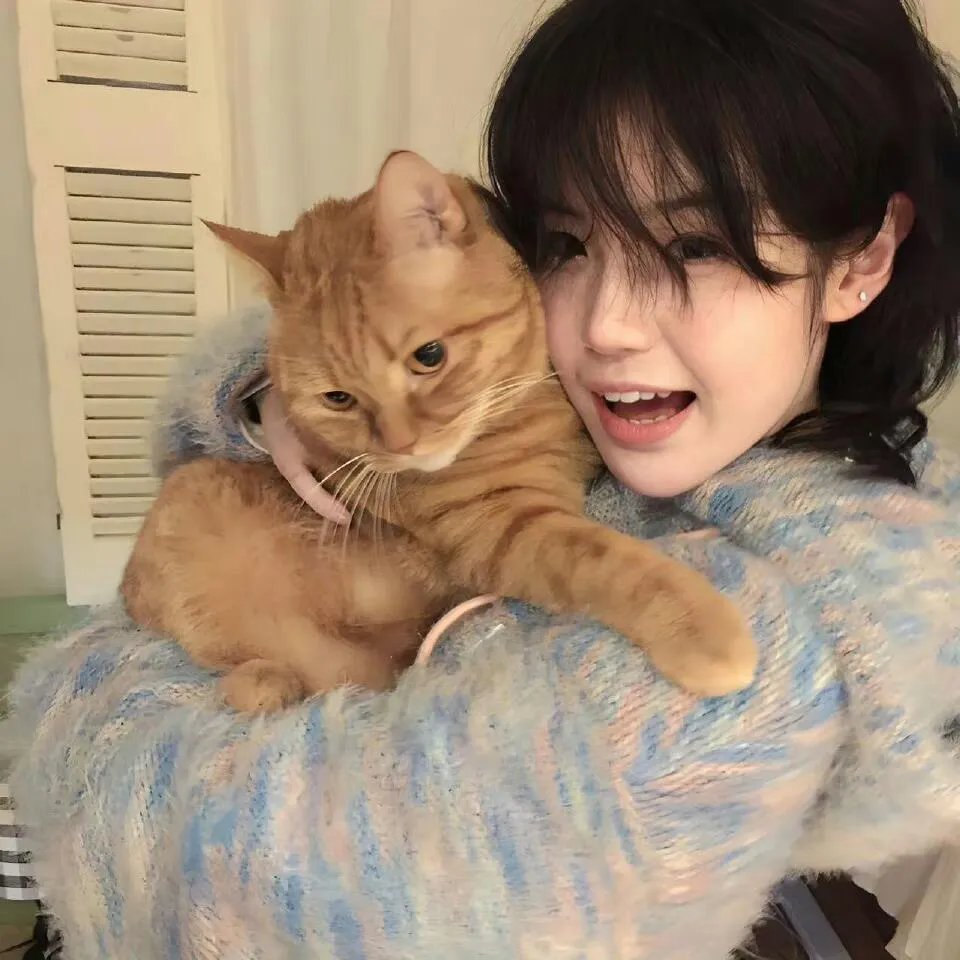 波普先生的企鹅